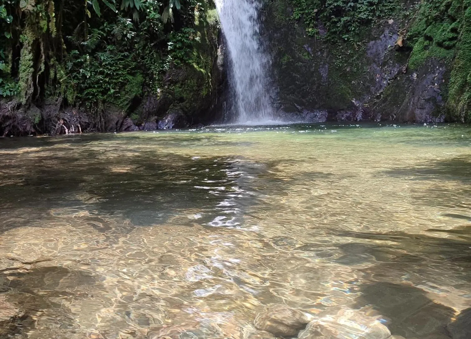 Mindo Garden Hotel 3*,  Ecuador