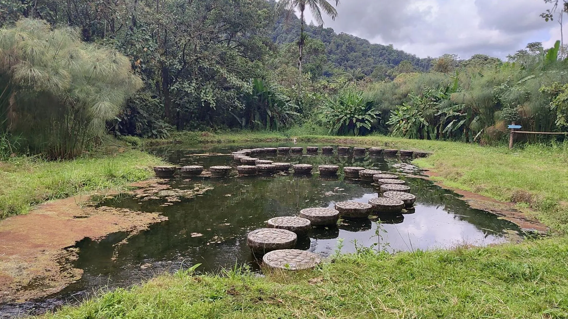 *** ホテル Mindo Garden Lodge And Wildlife Reserve エクアドル