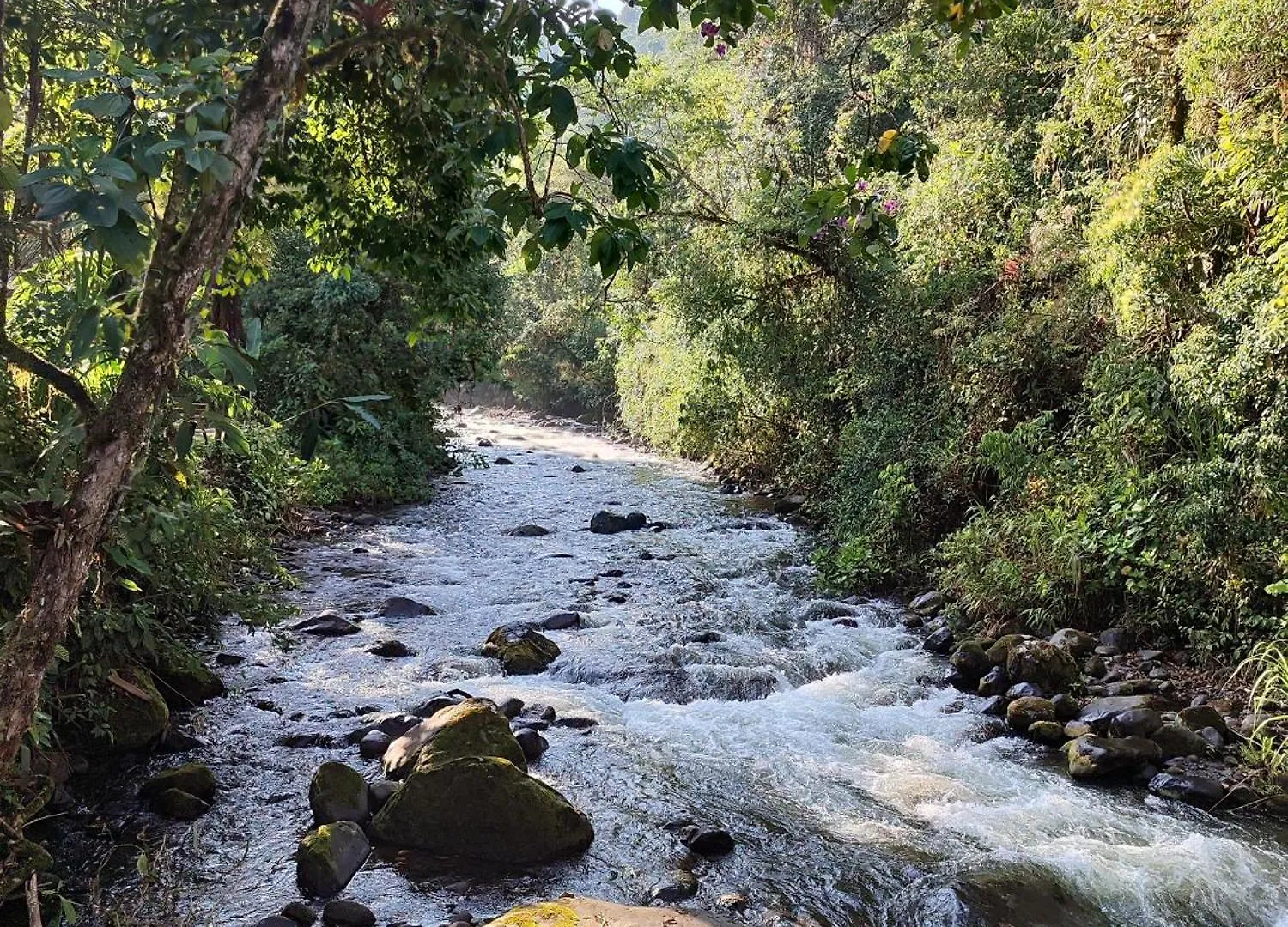 Mindo Garden Lodge And Wildlife Reserve Ekwador