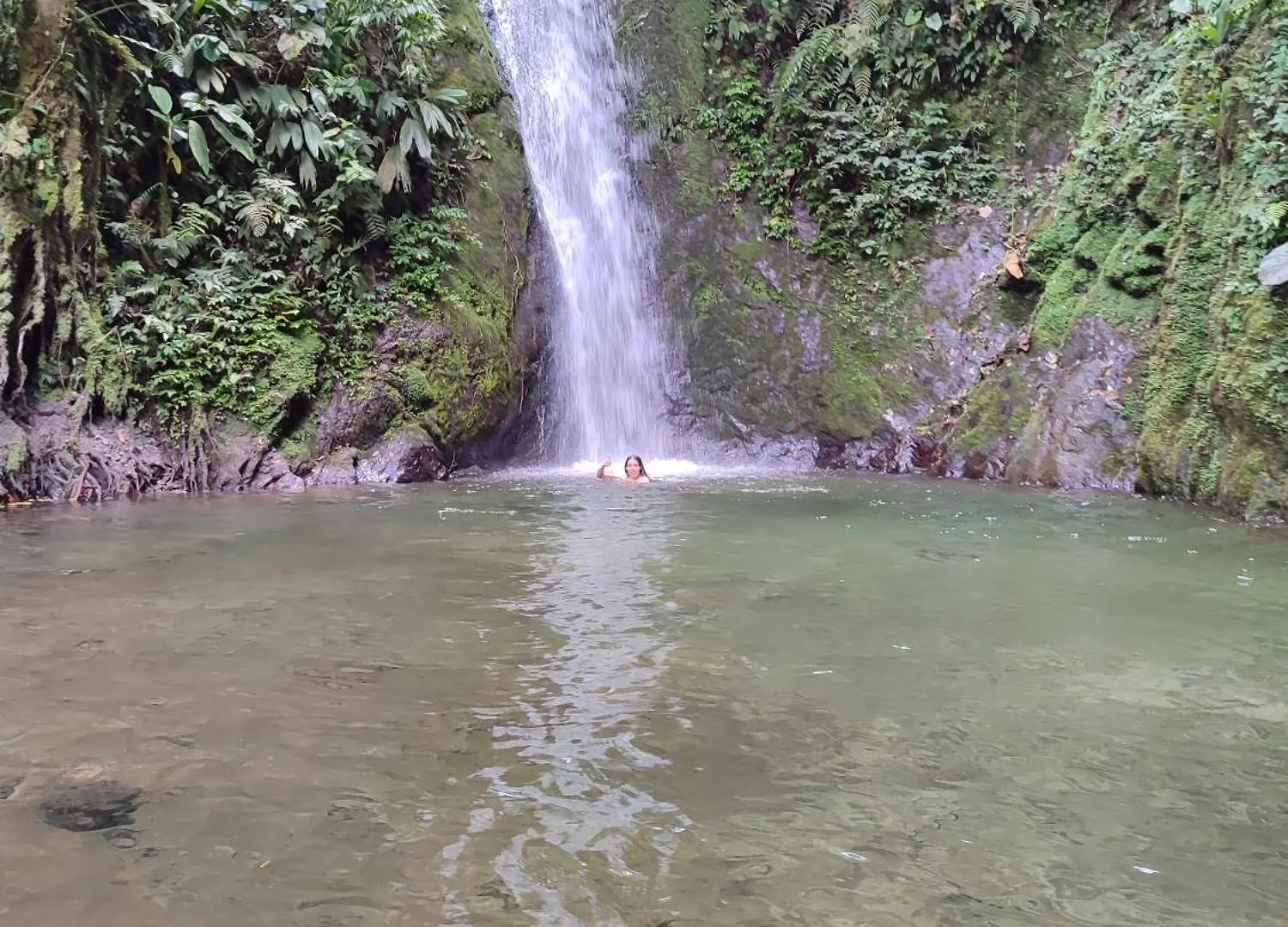 Mindo Garden Lodge And Wildlife Reserve 호텔