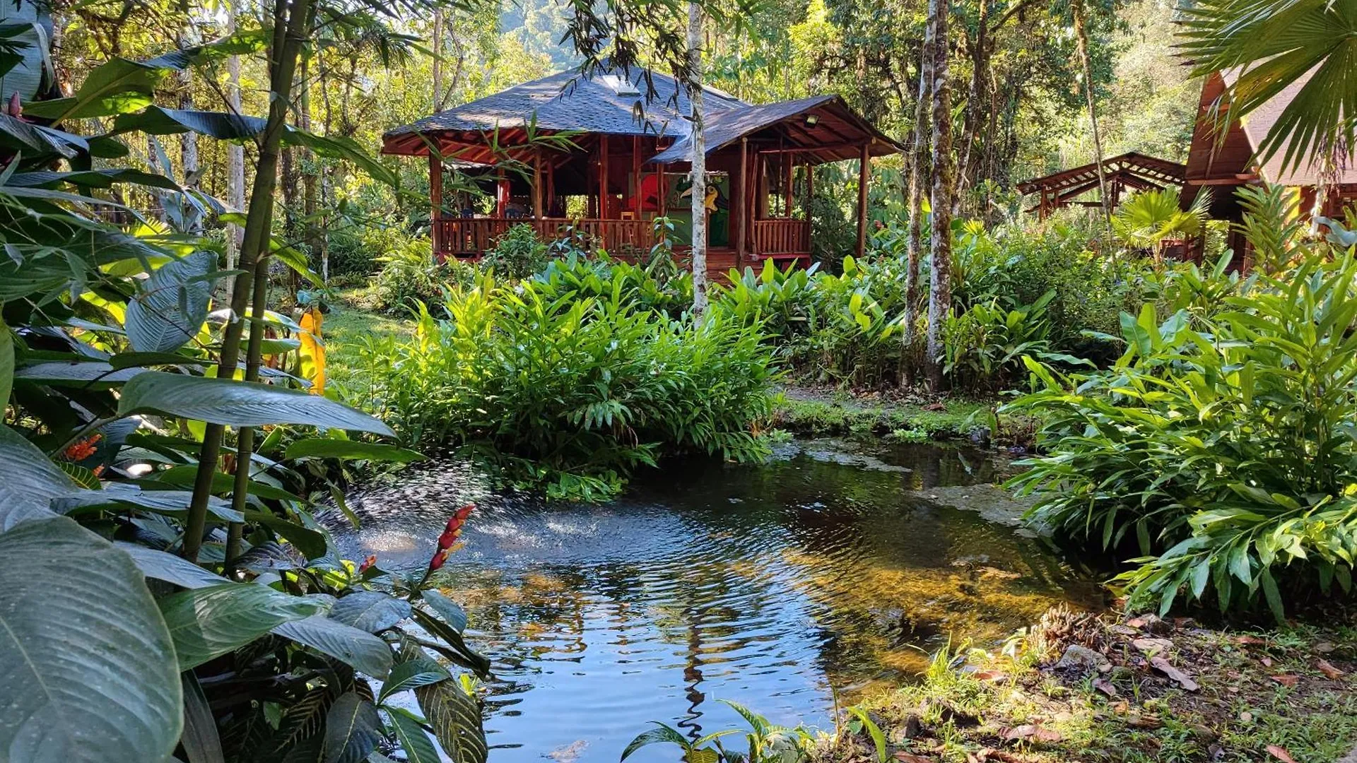 Mindo Garden Lodge And Wildlife Reserve 에콰도르