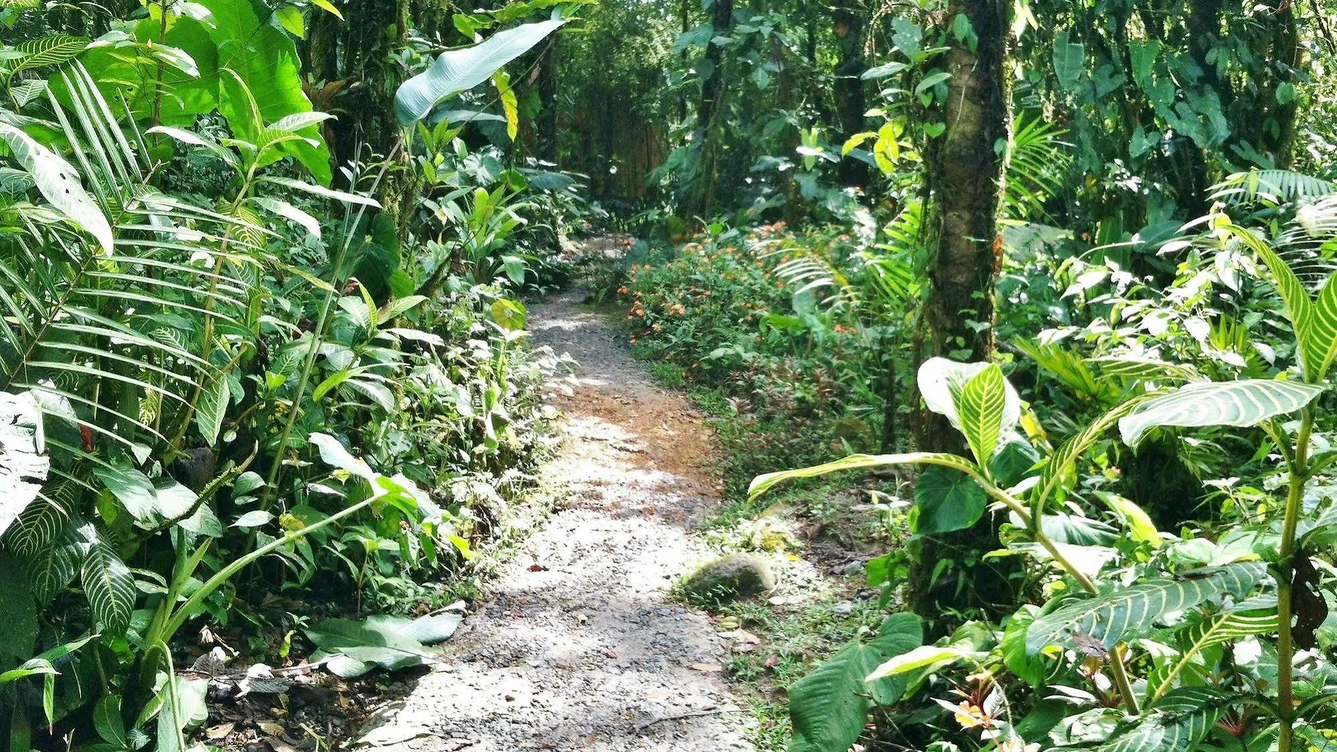 ***  Mindo Garden Hotel Ecuador