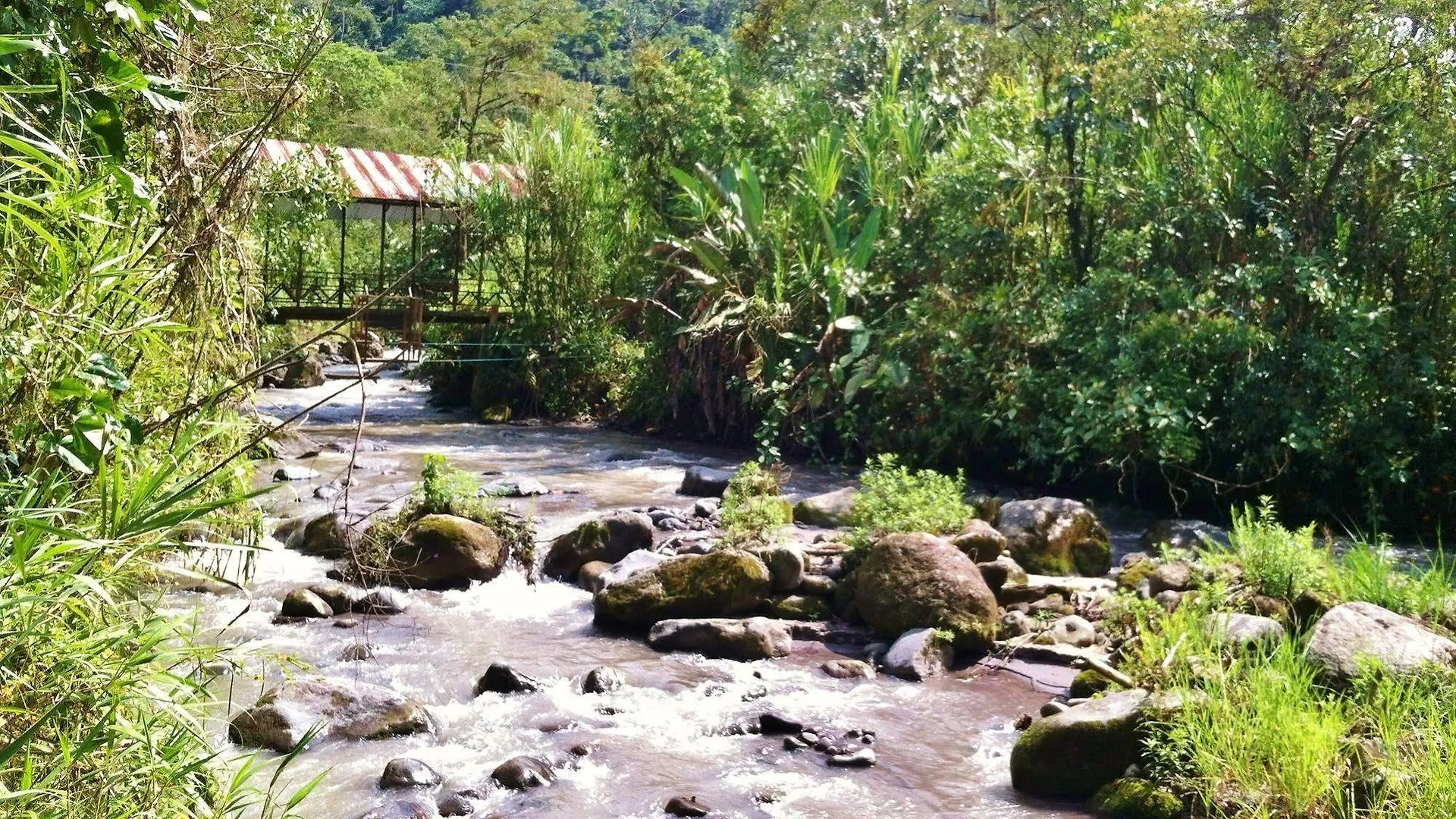 Hotel Mindo Garden