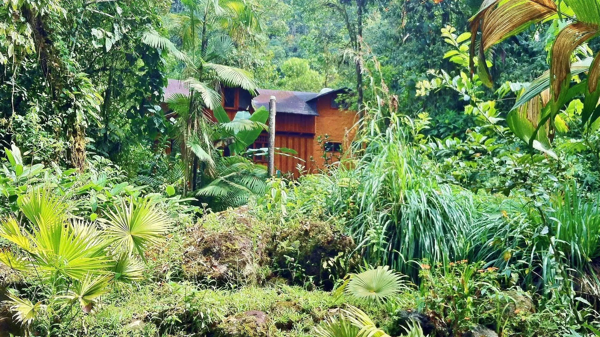 Mindo Garden Lodge And Wildlife Reserve