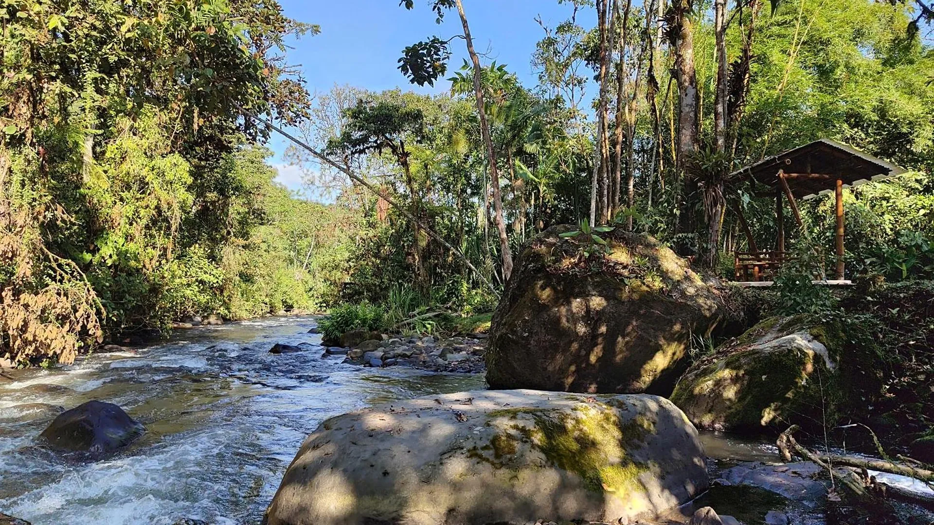 Mindo Garden Lodge And Wildlife Reserve