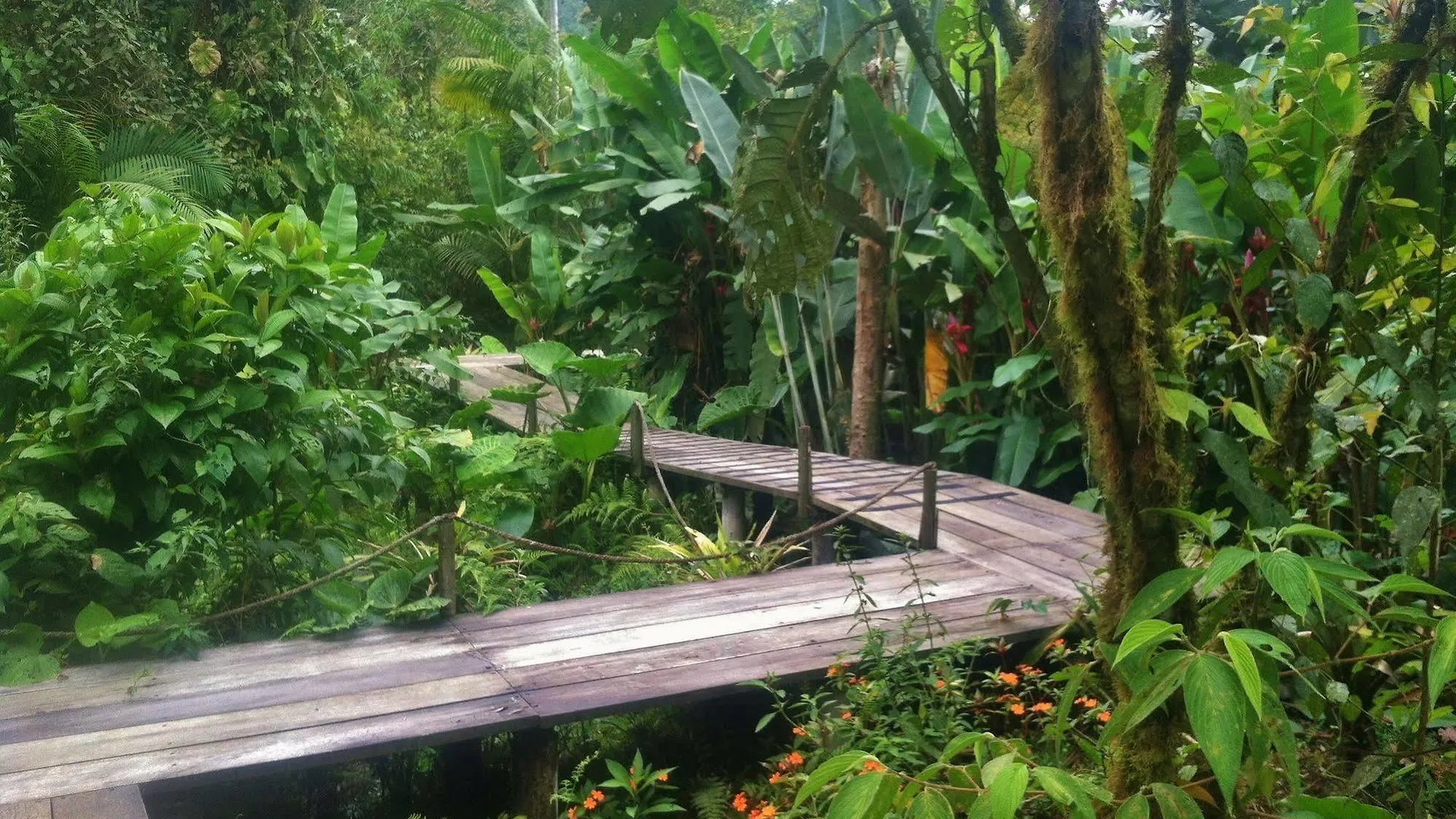 Mindo Garden Lodge And Wildlife Reserve 3*,  Ecuador